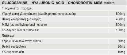 HYALURONIC_ACID_CHONDROITIN_MSM