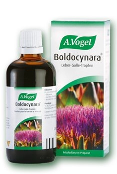 Picture of A. VOGEL Boldocynara 50ml