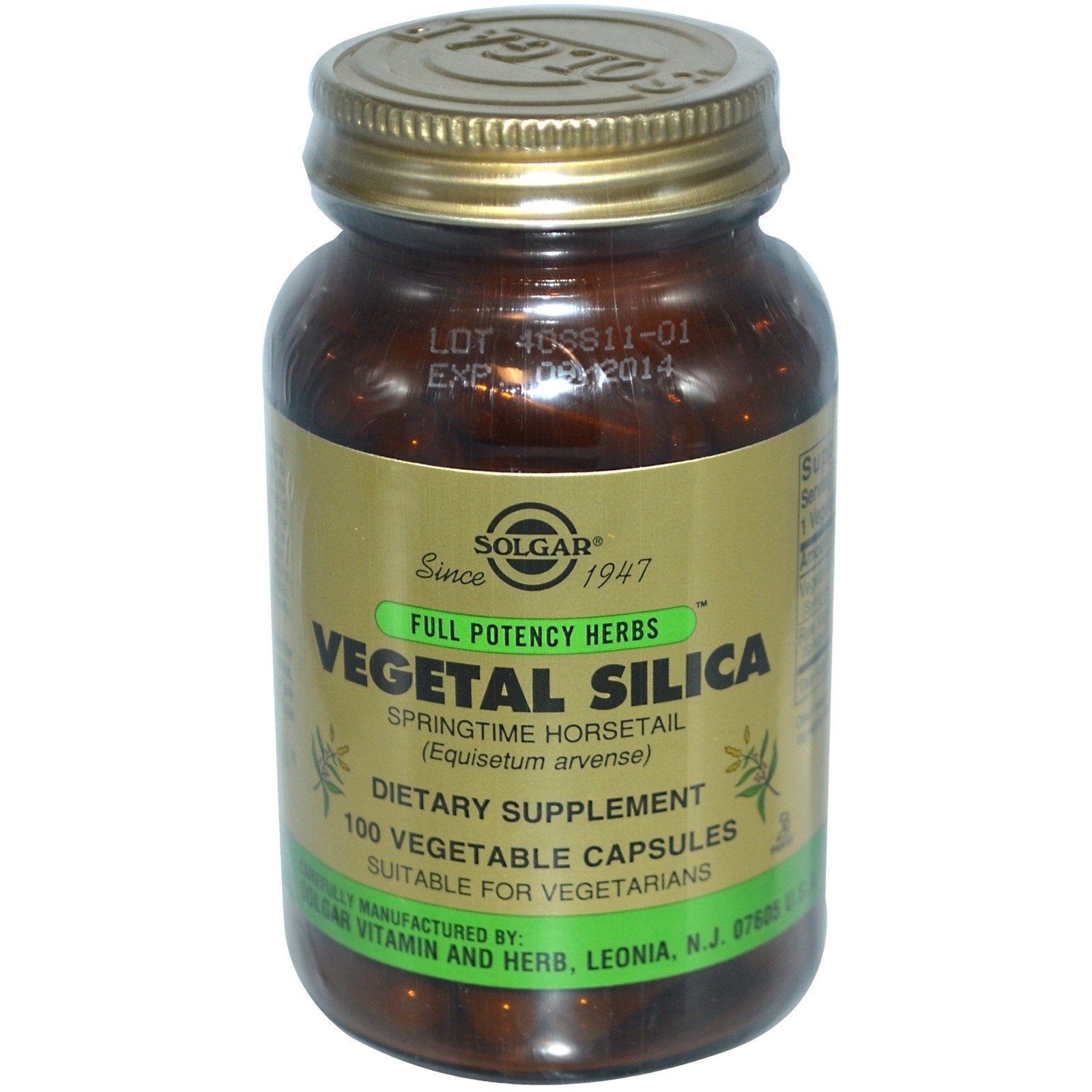 Vegetal Silica For Hair Growth SOLGAR Vegetal Silica 100 veg.caps - PharmaDirect.gr