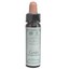 Picture of AINSWORTHS, Dr. Bach Cerato 10ml