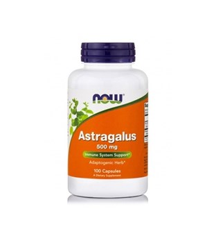 Picture of NOW ASTRAGALUS 500mg 100CAPS
