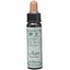 Picture of DR.BACH Ainsworths Aspen 10ml