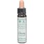 Picture of DR.BACH Ainsworths Chicory 10ml