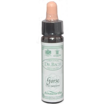 Picture of DR.BACH Ainsworths Gorse 10ml