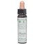 Picture of Mimulus - Ανθοίαμα Bach από την Ainsworths 10ml