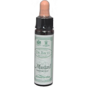 Picture of DR.BACH Ainsworths Mustard 10ml