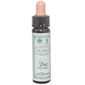 Picture of DR.BACH Ainsworths Pine 10ml