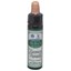 Picture of DR.BACH Ainsworths Recovery 10ml