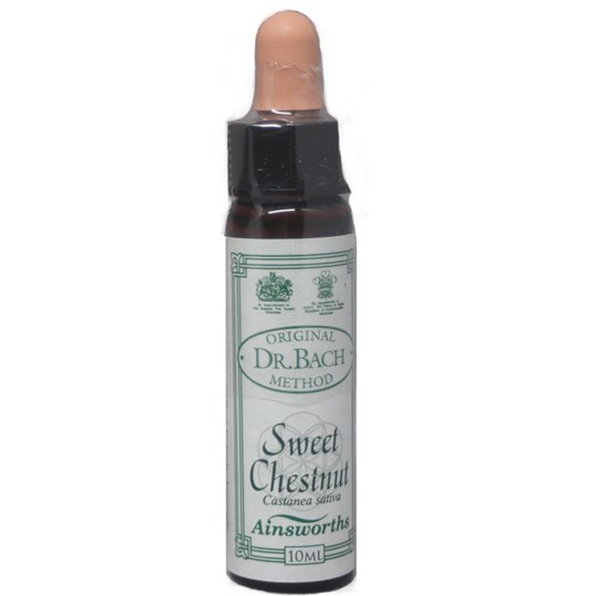 Picture of AINSWORTHS Sweet Chestnut 10ml