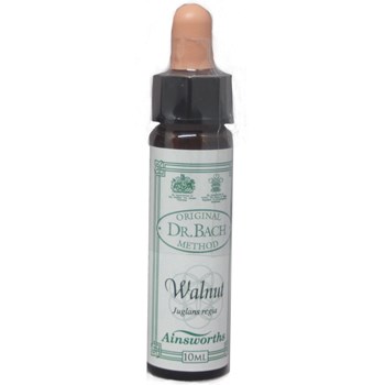 Picture of DR.BACH Ainsworths Walnut 10ml