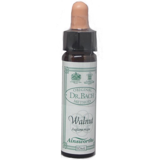 Picture of DR.BACH Ainsworths Walnut 10ml