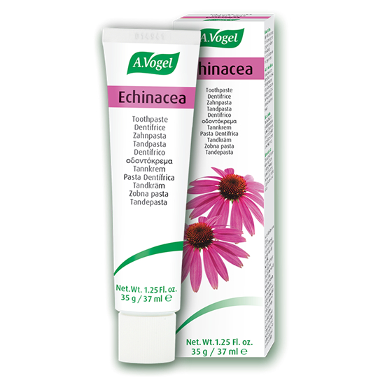 Picture of A. VOGEL Echinacea Toothpaste 100gr
