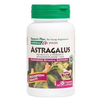 Picture of Natures Plus ASTRAGALUS  (Astragalus membranaceus) 450 mg 60caps