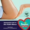 Picture of Pampers Πάνες Βρακάκι Night No. 5 για 12-17kg 22τμχ