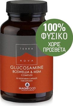 Picture of TerraNova Glucosamine Boswellia & MSM Complex 50 φυτικές κάψουλες