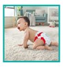 Picture of Pampers Πανες Premium Care Pants Monthly Πάνες-Βρακάκι Νo 3  (6 - 11kg) 144τμχ