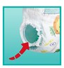 Picture of Pampers Πάνες Βρακάκι Pants No. 8 για 19+kg 32τμχ