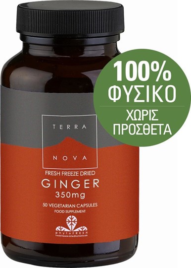 Picture of TerraNova Ginger 350mg 50 κάψουλες