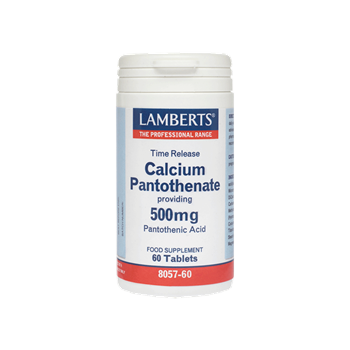 Picture of Lamberts Calcium Pantothenate 500mg 60 ταμπλέτες