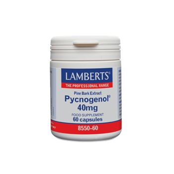 Picture of LAMBERTS PYCNOGENOL 40MG 60CAPS