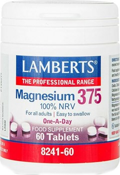 Picture of Lamberts MAGNESIUM 375 60TABS