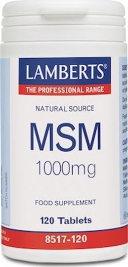 Picture of Lamberts MSM 1000MG 120TABS