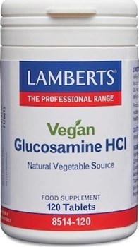 Picture of Lamberts VEGAN GLUCOSAMINE 750MG 120TABS