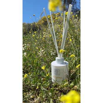 Picture of SANKO Alcyone Reed Diffuser αρωματικό χώρου 125ml