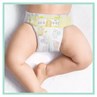 Picture of Pampers Premium Care Premium Care Πάνες με Αυτοκόλλητο No. 1 για 2-5kg 156τμχ