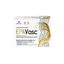 Picture of LIBYTEC EPAVasc EPA 1875mg | DHA 125MG | VIT D3 150 IU| VIT E 12mg 15φακελ.