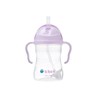 Picture of B.Box Παιδικό Ποτηράκι Sippy Cup από Πλαστικό 240ml για 6m+