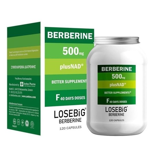 Picture of Amhes Losebig Berberine 500mg 120 κάψουλες