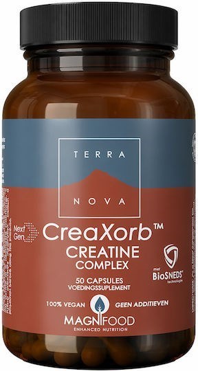 Picture of TerraNova BioSNEDS CreaXorb Κρεατίνη 50 κάψουλες
