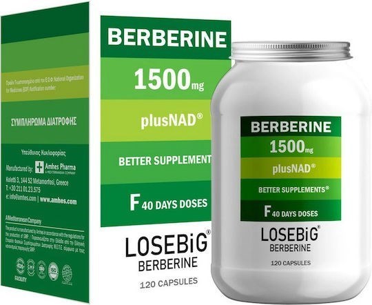 Picture of Amhes Losebig Berberine 1500mg 120 κάψουλες